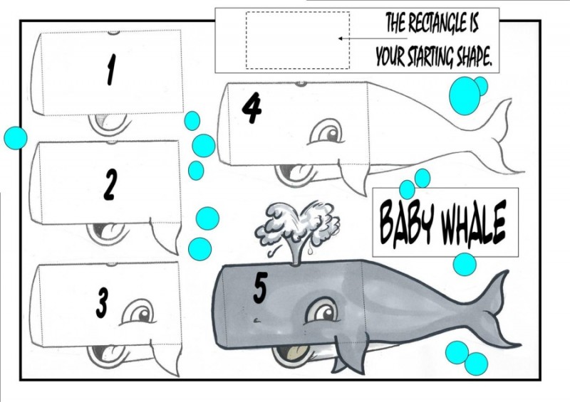 How to draw a cartoon Baby Whale - classes by Jarla Duffy, Donegal Cartoons, Ireland